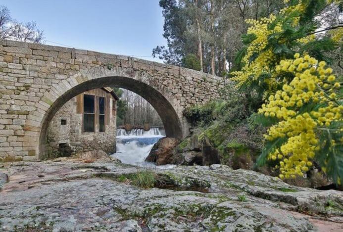Reginita Apartamentos Arbo Dış mekan fotoğraf
